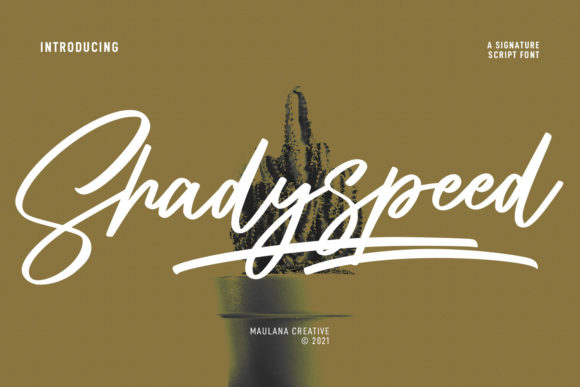 Download Shadyspeed Script Font - Premium Resources